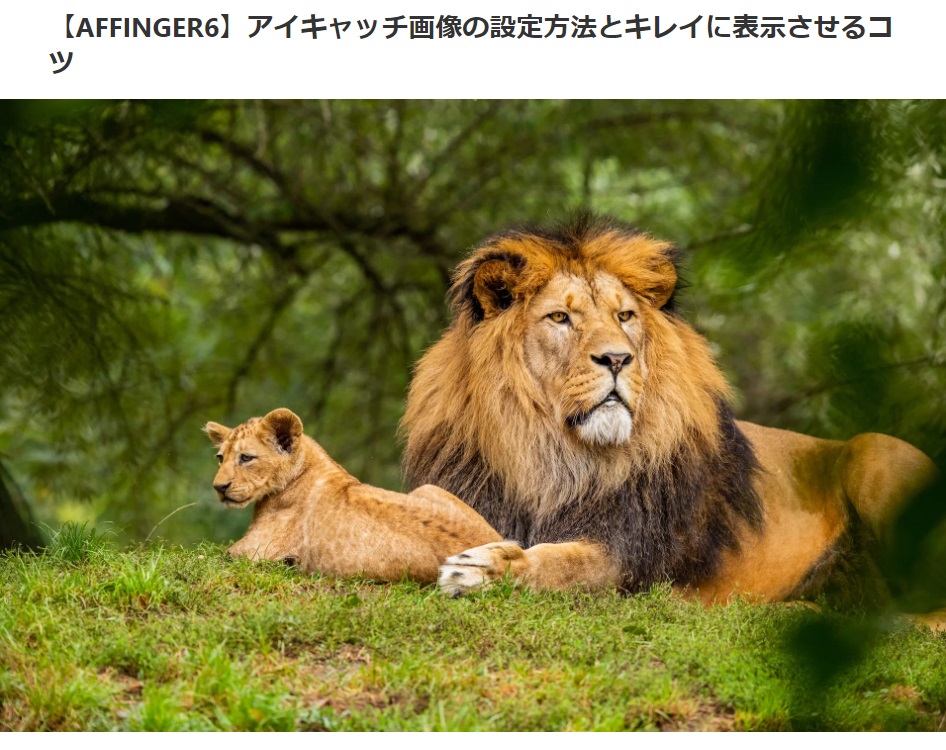 AFFINGER6でアイキャッチ画像を設定する方法