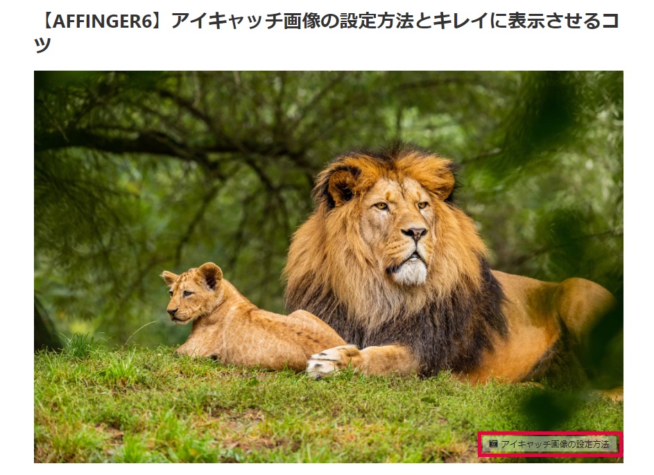 AFFINGER6でアイキャッチ画像を設定する方法