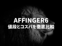 AFFINGER6の値段は高い？他テーマとコスパを徹底比較！